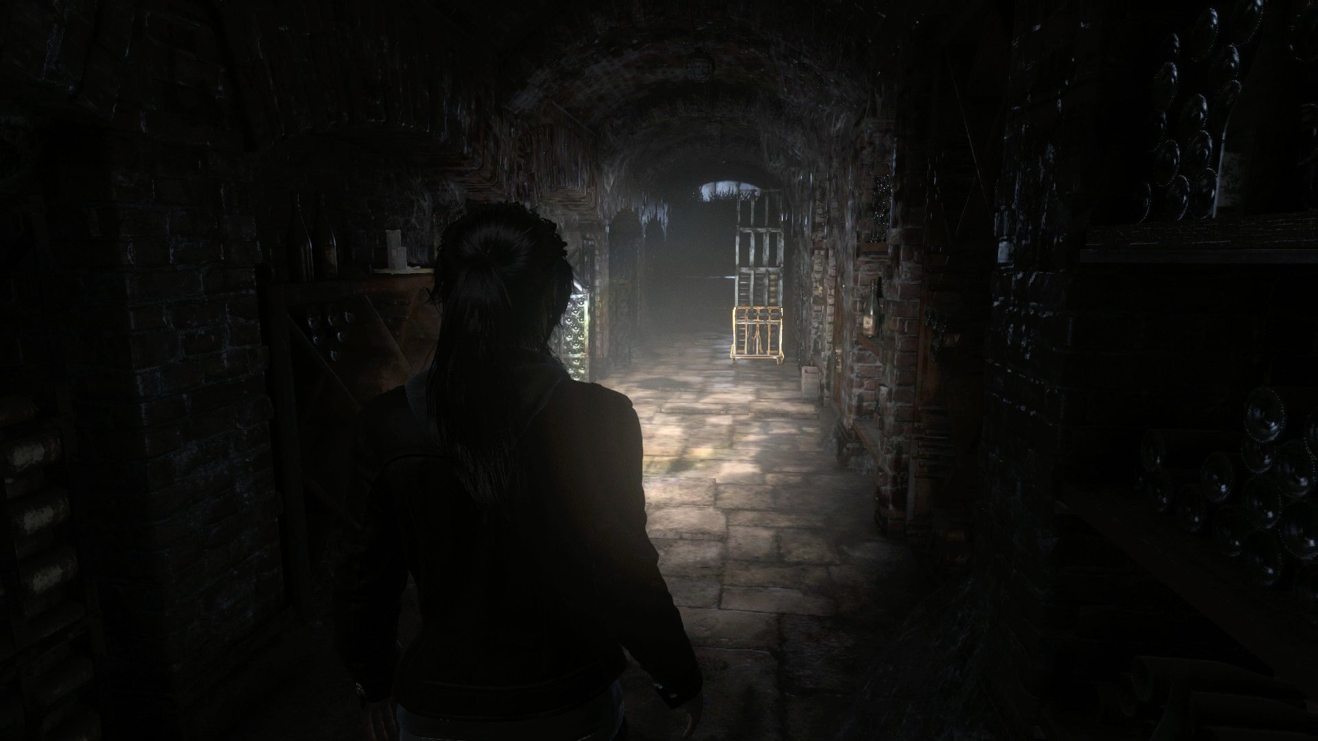 Rise of the Tomb Raider: 20 Aniversario